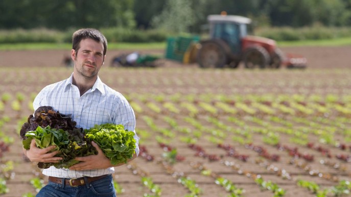 Lavoro: le nuove agevolazioni per diventare imprenditori agricoli