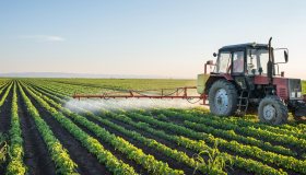 Bonus agricoltura fino a 50mila euro: quando partono le domande