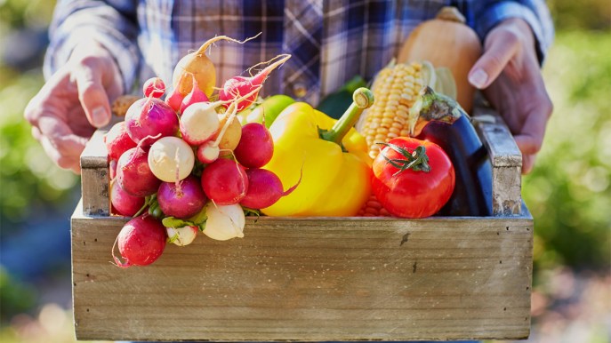 Sale l’inflazione, frutta e verdura costano il 18,5% in più