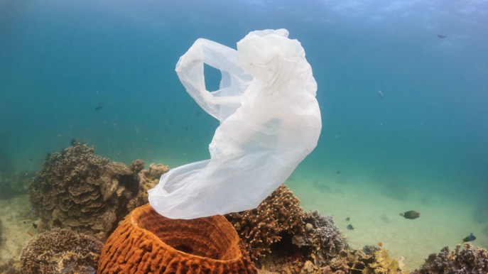 Inquinamento: una busta di plastica trovata nel punto più profondo dell’oceano