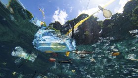 Waste Boat Service: la startup che pulisce il mare dai rifiuti