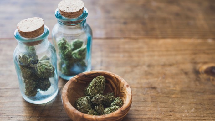 Cannabis legale è reato, in ‘fumo’ migliaia di posti di lavoro