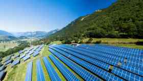 Fotovoltaico, arrivano i pannelli che sfruttano la fotosintesi clorofilliana