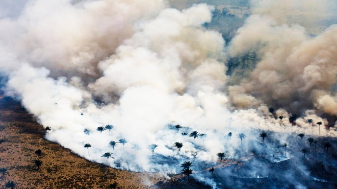 Amazzonia in fiamme, una catastrofe che si abbatterà anche sull’Italia