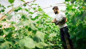 Requisiti e procedure per ottenere la disoccupazione agricola