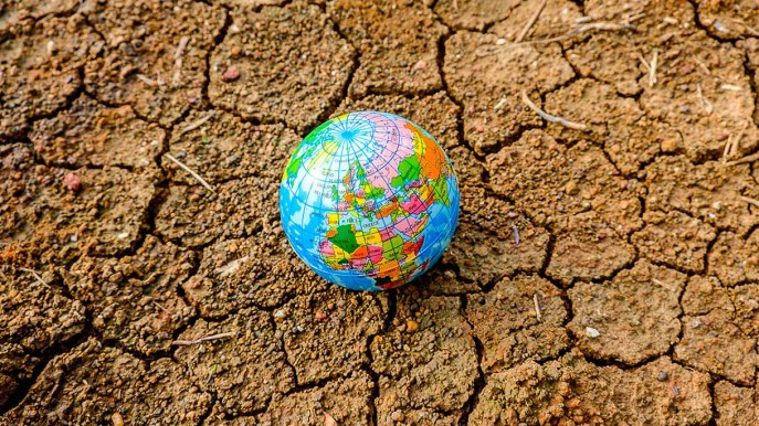 Earthshot Prize, 5 soluzioni concrete per salvare la Terra (premiate dal principe William)