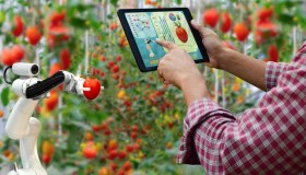 Agrifood, il PAC tra presente e futuro: gli obiettivi chiave