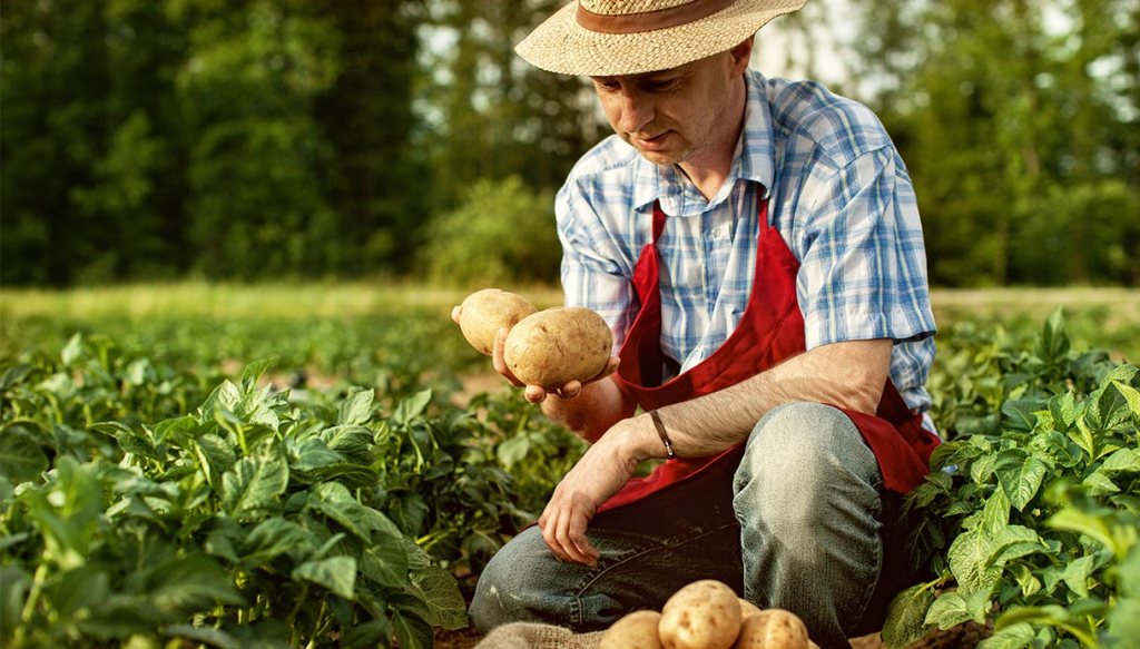 Cos E E Come Funziona La Partita Iva Agricola Quifinanza