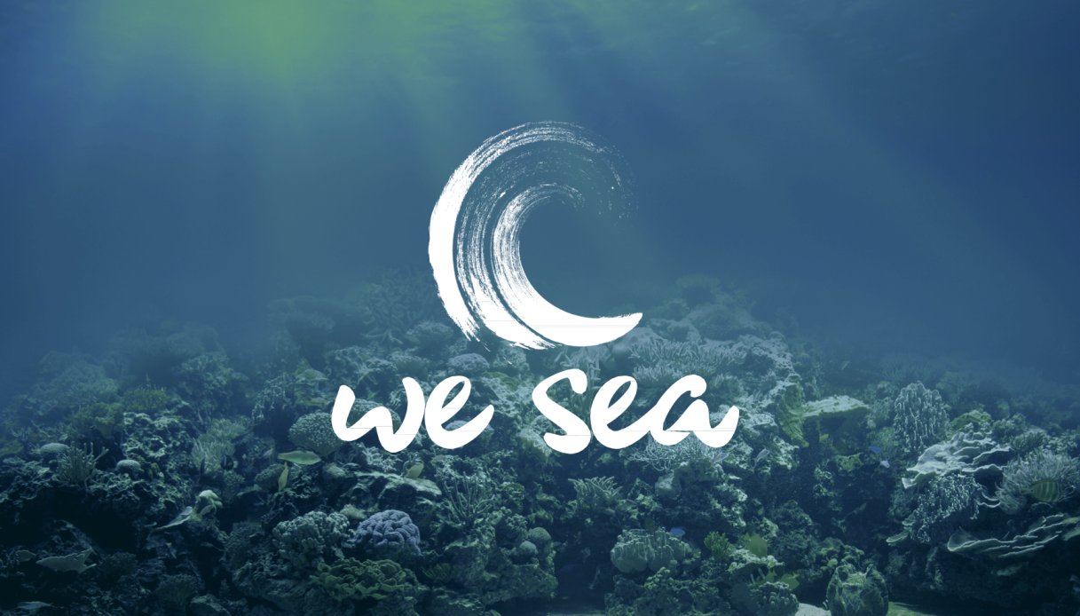 Logo We Sea