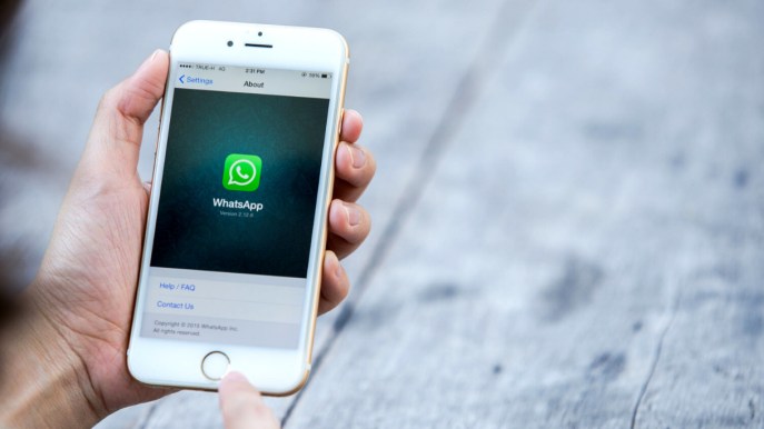 WhatsApp non funzionerà più su questi telefoni: i chiarimenti dell’Unione Nazionale Consumatori