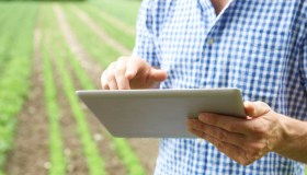 Contributi Inps obbligatori per coltivatori e imprenditori agricoli: aliquote e scadenze