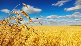 Kellogg Company, con Origins la sostenibilità parte dall’inizio della filiera