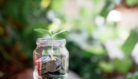 “Baby pensione” per i deputati sotto i 60 anni: la decisione della Cassazione