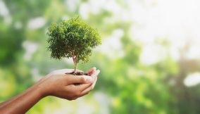 economia-sostenibile-caratteristiche