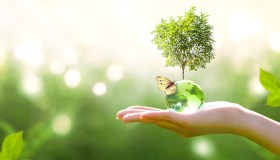 Cosa sono i Global Reporting Initiative Standard