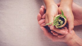 Come promuovere la sostenibilità sociale in azienda