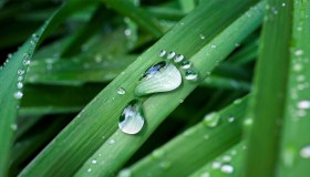 Cos’è e come si calcola l’impronta idrica