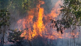 Incendi, prevenzione e monitoraggi: come l’Europa si prepara all’estate 2023