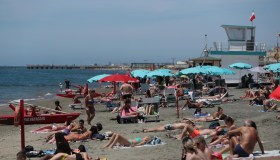 Allarme meduse nei mari italiani: le zone più colpite