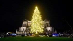 Roma, arriva il nuovo Spelacchio: quanto è costato l’albero di Natale