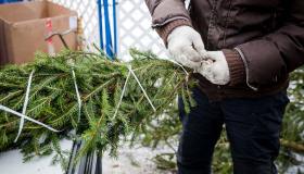 È il Natale dell’albero vero: quanto costa (e perché conviene)