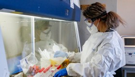 Covid, incredibile scoperta italiana sui cani: cosa dice il primo studio al mondo