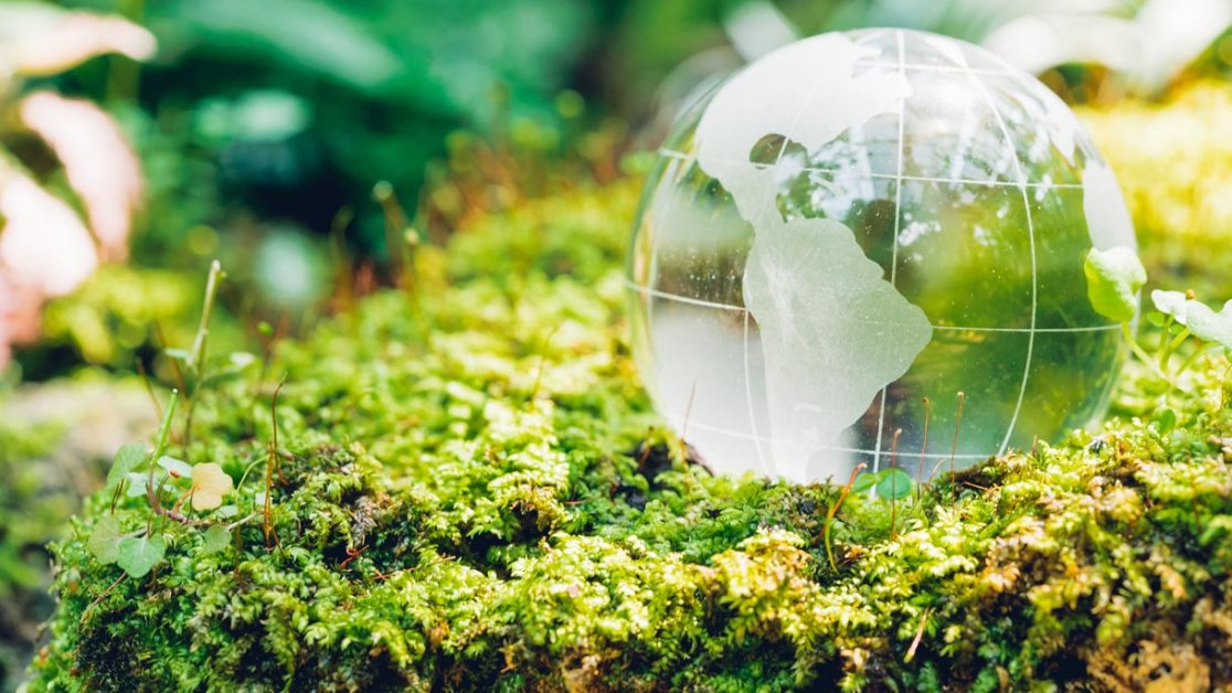 Green Economy e Sostenibilità