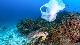 Il primo “ﬁshing for litter” italiano: così si pescano i rifiuti