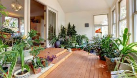 Come purificare l’aria grazie al potere delle piante