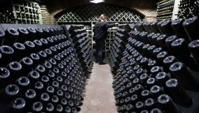 Bottiglia di vino venduta in Italia a cifra record: quale e quanto costa