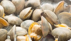 Salmonella: nuovi prodotti contaminati, stop a un settore