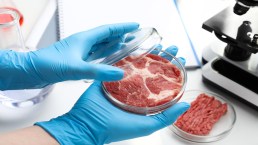 La carne coltivata è un’opzione sana e nutriente per il futuro dell’alimentazione?