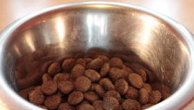 Boom mercato pet food: prevista crescita a doppia cifra entro il 2030