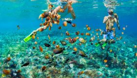 Giornata mondiale degli oceani, perché dobbiamo agire tutti subito