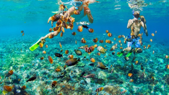 Giornata mondiale degli oceani, perché dobbiamo agire tutti subito