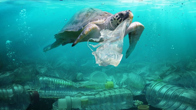 Ripulire il mare dalla plastica: lo strumento che cattura i rifiuti