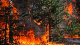 Ogni 10 anni gli incendi nei Paesi Euromediterranei aumentano del 20-30%