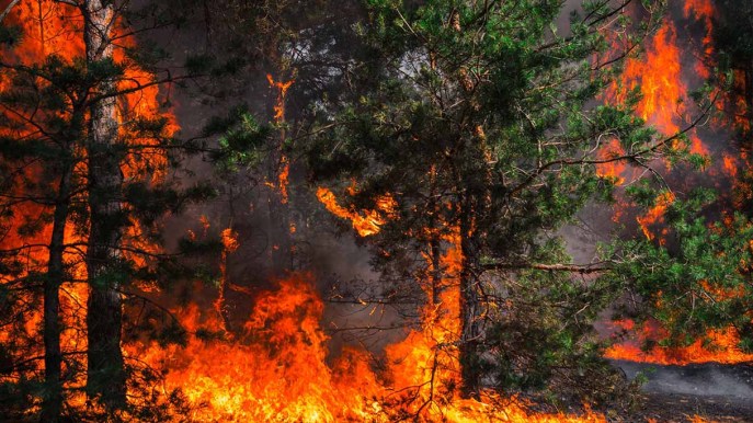 Ogni 10 anni gli incendi nei Paesi Euromediterranei aumentano del 20-30%