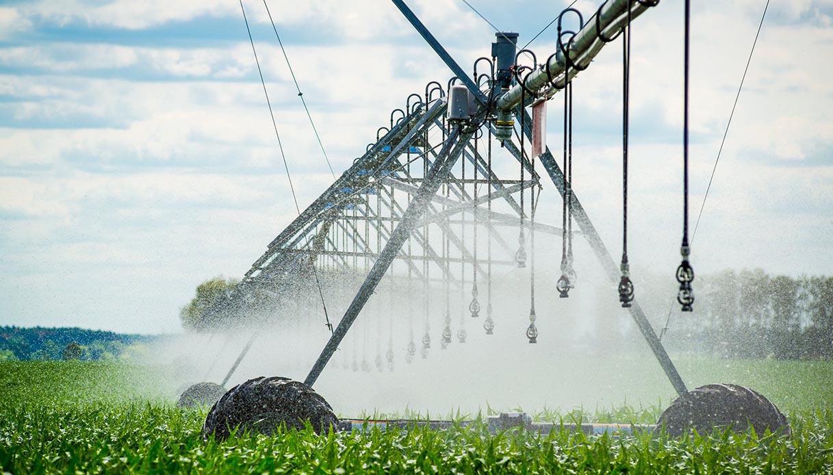 Agricoltura e siccità: le soluzioni smart per il risparmio idrico