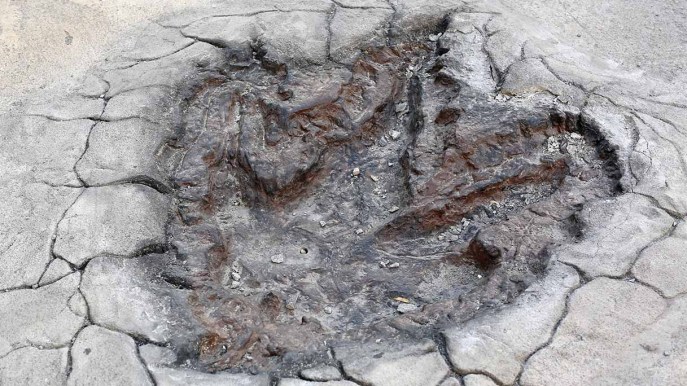 La siccità restituisce le impronte di dinosauri di 113 milioni di anni fa