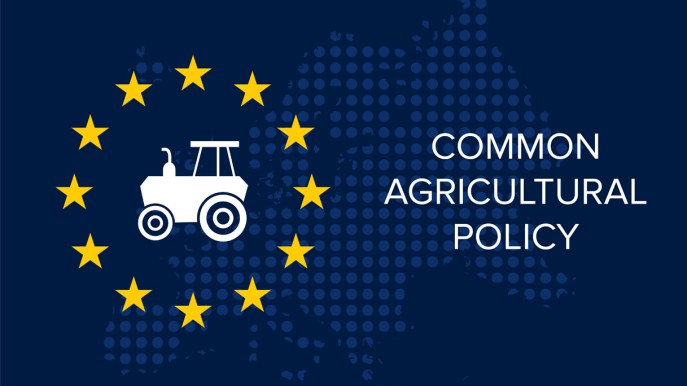Politica agricola comune (PAC) 2023-2027: la Commissione approva i primi piani strategici
