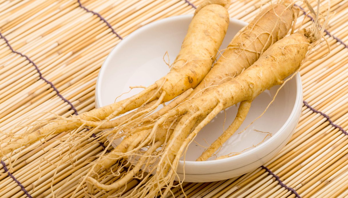 Il ginseng, un pieno di energia naturale