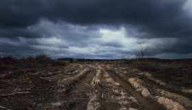 Ecomafie, la mappa dei reati ambientali che stanno distruggendo il Belpaese