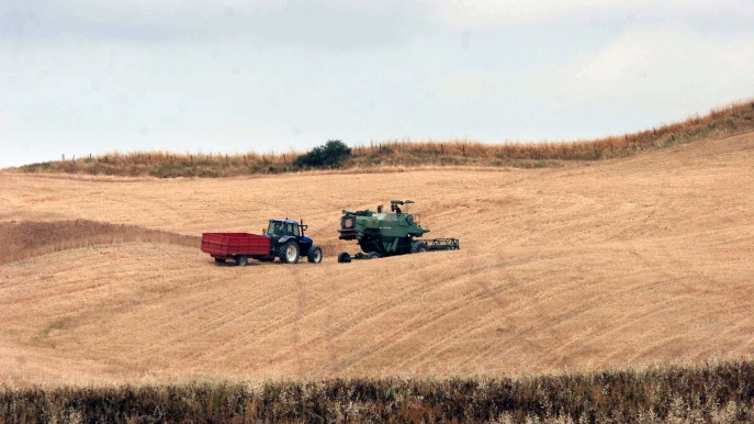 Agricoltura, via libera Bruxelles al Piano strategico dell’Italia