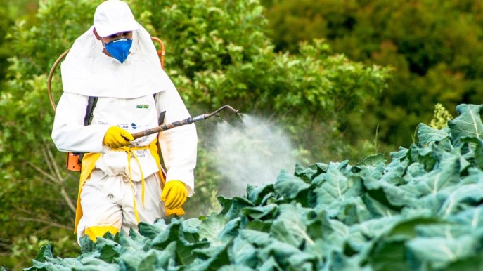 Se non si riduce l’uso dei pesticidi non ci può essere salute per la Terra