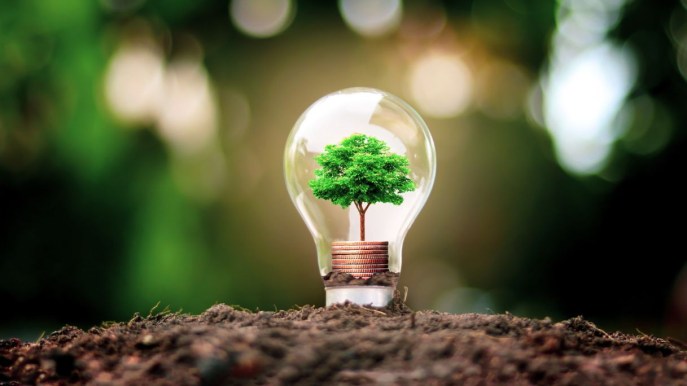 Energia verde: come scegliere un fornitore di luce e gas che utilizza fonti rinnovabili