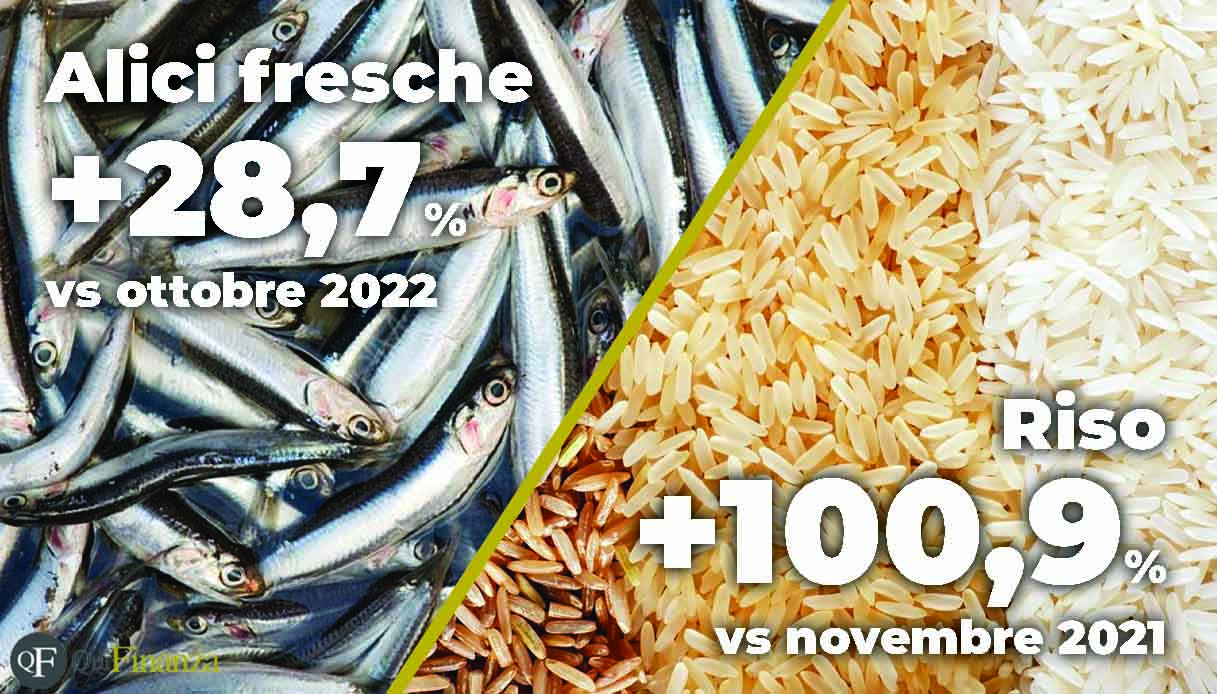 Rincari dei prodotti alimentari, i cibi più cari di novembre