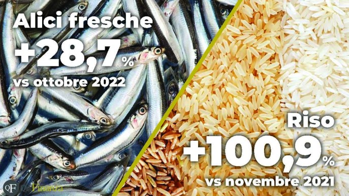 Aumento dei prezzi dei prodotti alimentari, i rincari di novembre 2022