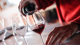 Il vino fa male e chi beve ha il cervello più piccolo? È polemica