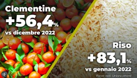 Rincari alimentari gennaio 2023